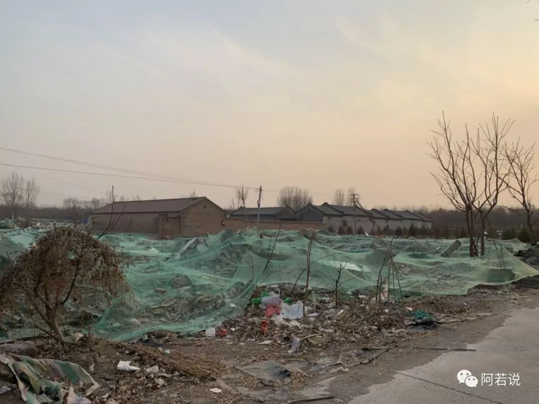 揭秘非法贩猫产业链,揭秘行业秘密