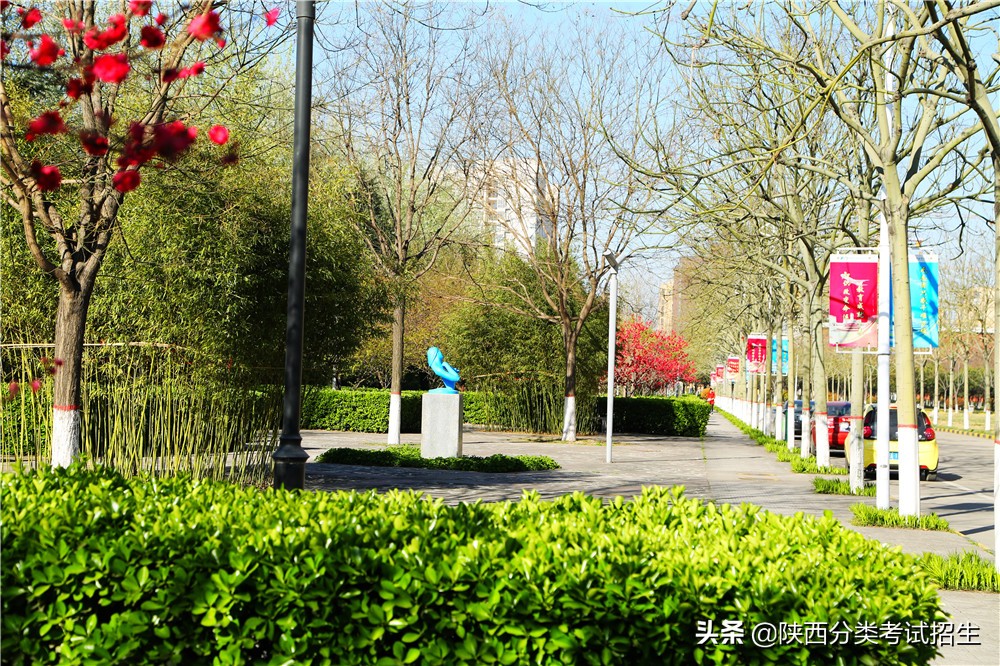 2023西安航空职业技术学院招生,2021西安航空职业技术招生目录