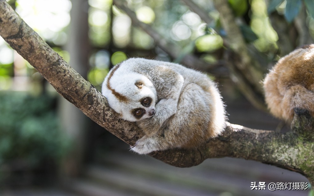 冬天云南哪里最适合居住,云南哪个城市冬暖夏凉适合养老