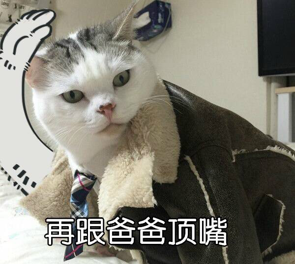 表情包你要哄我,表情包你要对我负责