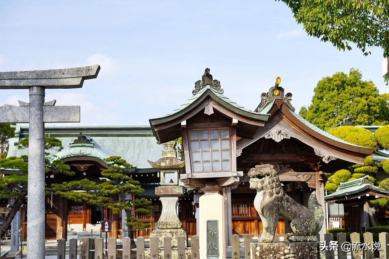 日本哪里的柚子好吃,日本北九州柚子