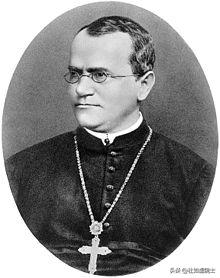 人工智能遗传算法的累积概率,人工智能遗传算法例题