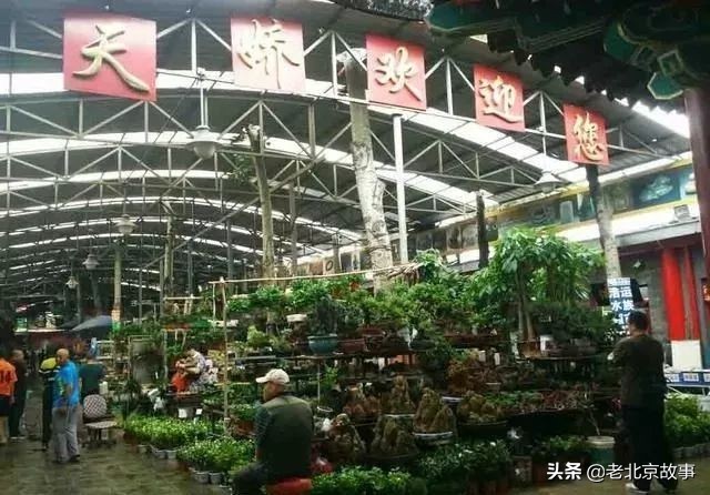 官园拆迁安置房,官园拆迁安置房拿房时间