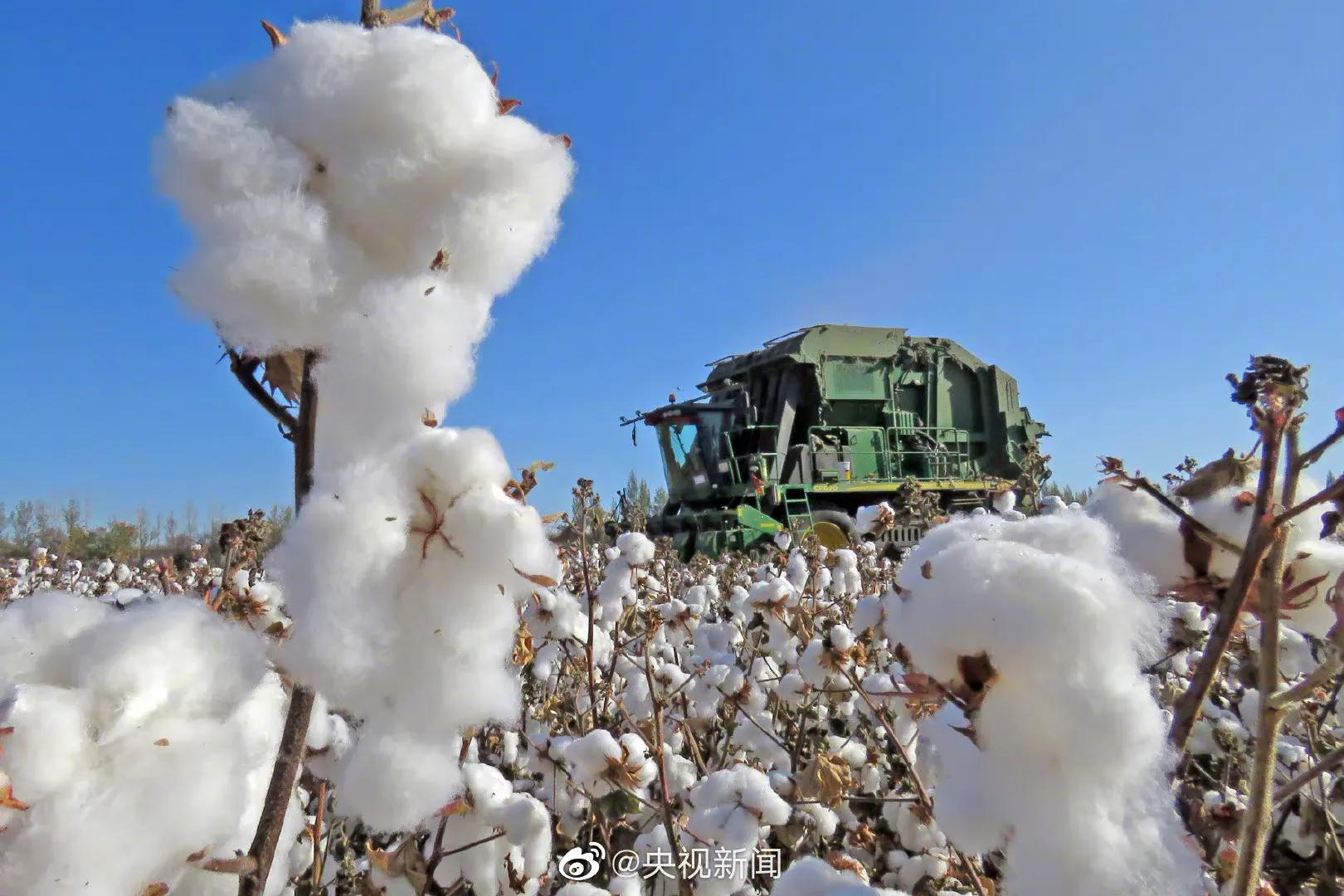 *疆新**是个好地方，荒谬的HM我们不买单！