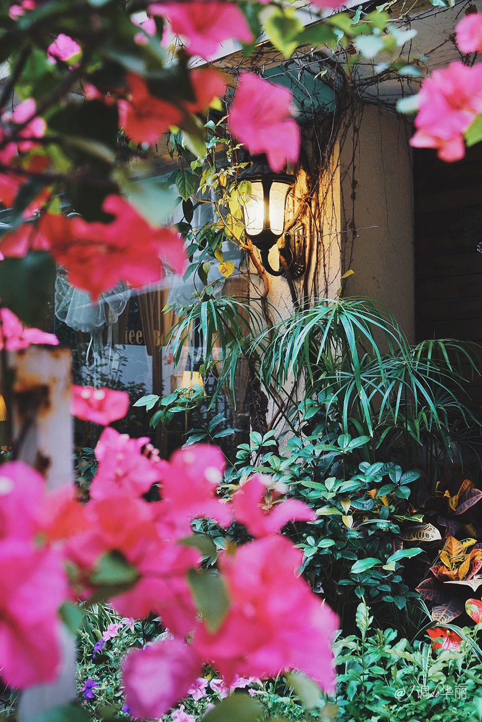 厦门水泥花砖,厦门老花砖