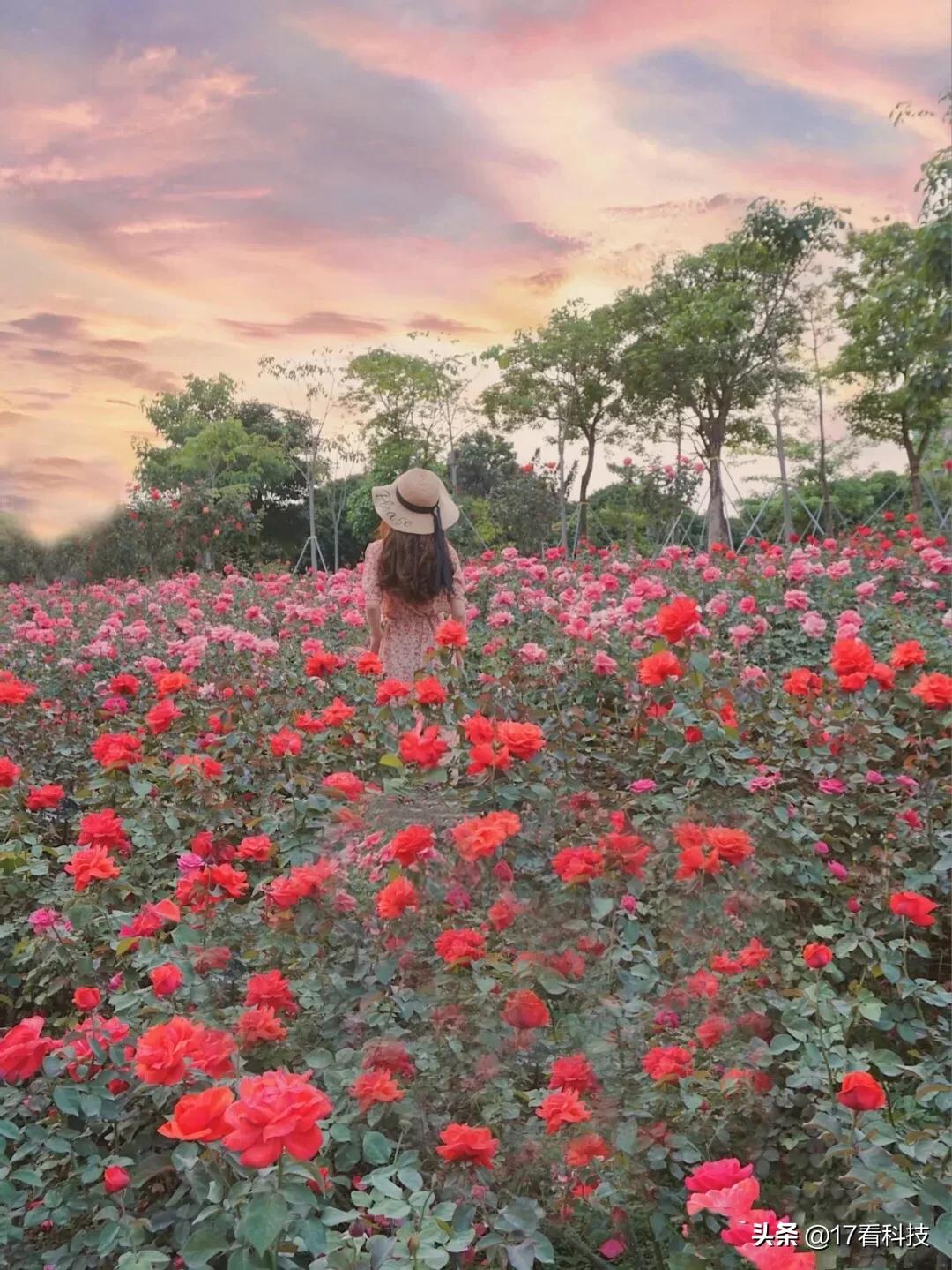 3倍洁净,3倍清洁效果