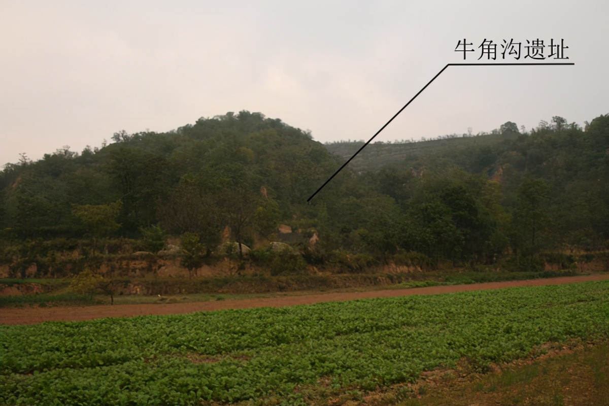 平凉第一人,泾川第一人