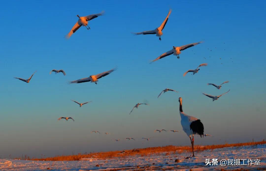 第16届国际摄影艺术展获奖作品,第29届全国摄影艺术展览作品集