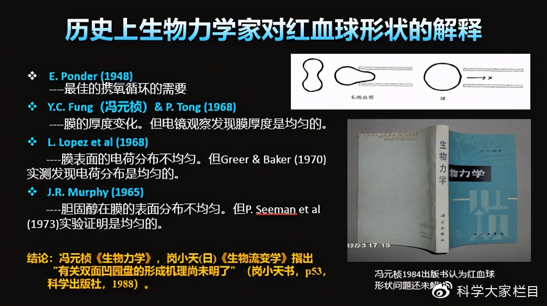 红细胞是双凹圆盘状图片,红细胞的形态是双凹