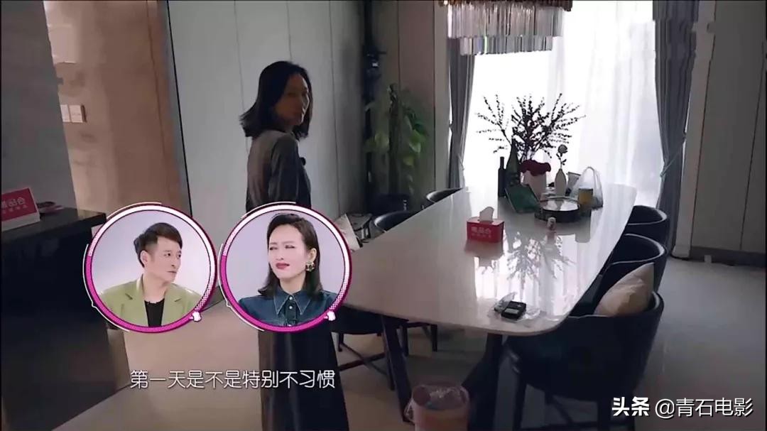 王鸥龙丹妮综艺节目,龙丹妮和维嘉现在关系