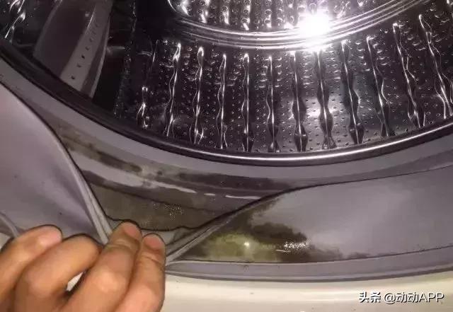 洗衣机里有霉菌,洗衣机放在潮湿的环境有霉菌