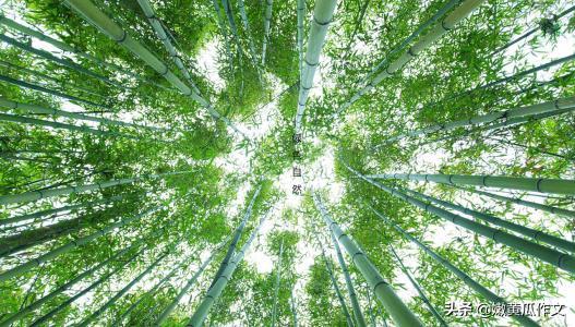 八上作文小传怎么写,一到八单元作文导图六年级语文