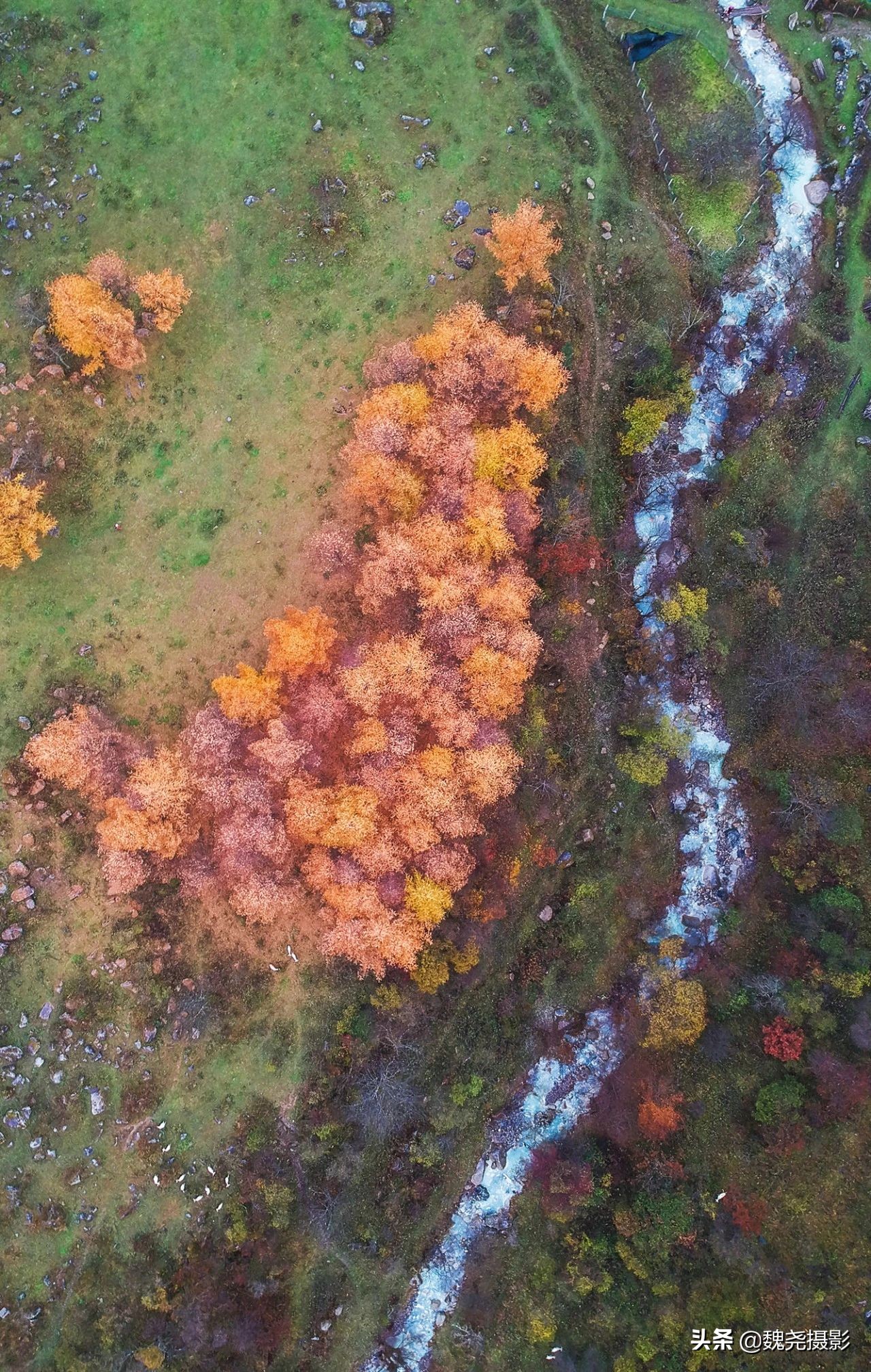 留坝秦岭之夜,留坝秦岭森林公园