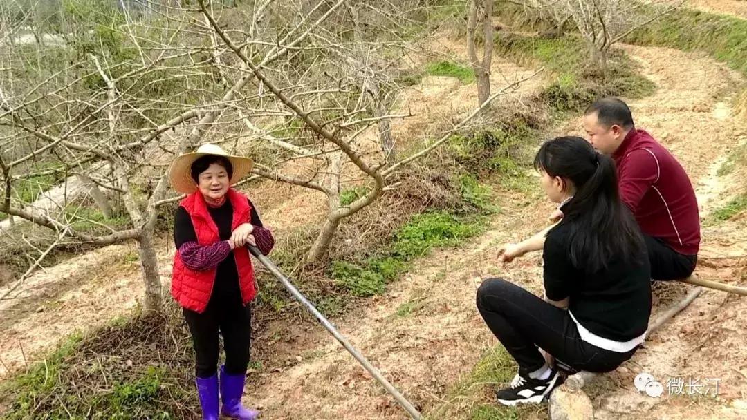 沈腾乡村振兴,长汀策武乡村振兴