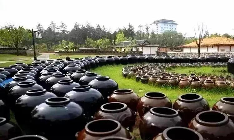 延吉旅游景点美食推荐,延吉市美食旅游攻略年糕火锅