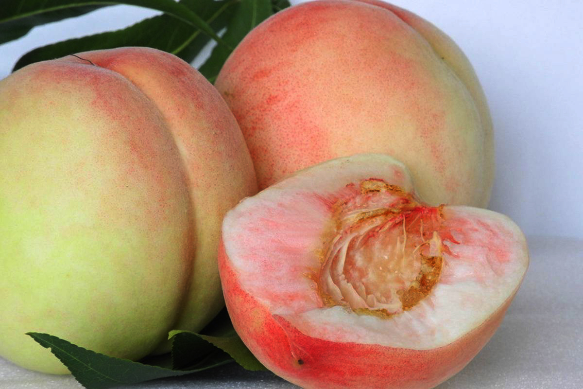 福安穆阳水蜜桃一般可以放几天,穆阳县水蜜桃特产