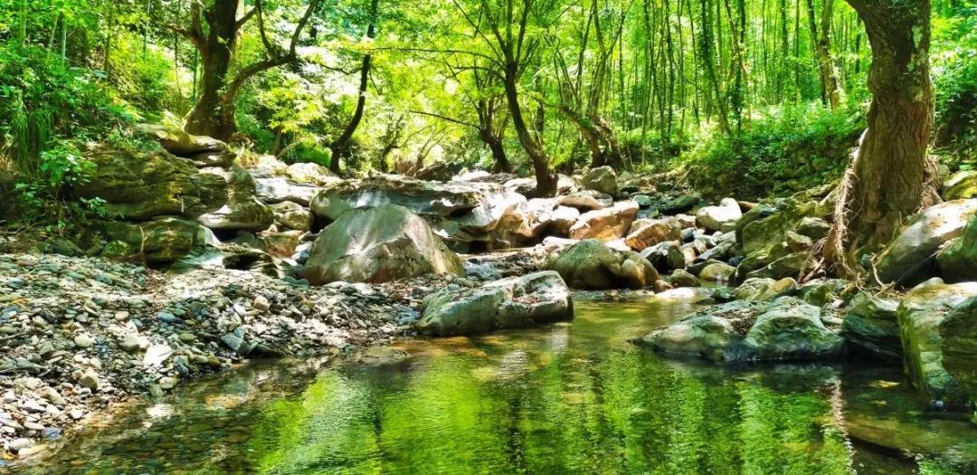 民间治咳嗽的52个偏方,有什么民间验方治疗严重咳嗽