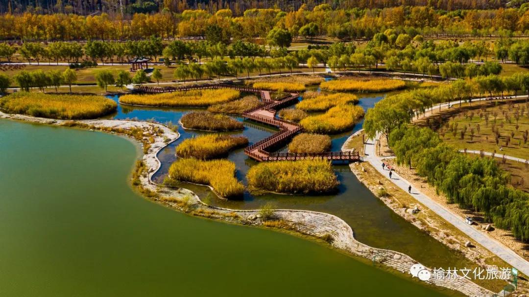 奥利给遇到奥利奥,奥利给优选商品