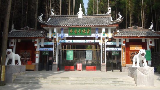 2020重庆马拉松比赛现场直播,重庆千野草场音乐节