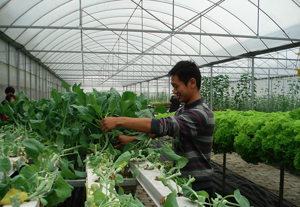 未来几年前景比较好的项目,未来5年闷声发大财项目