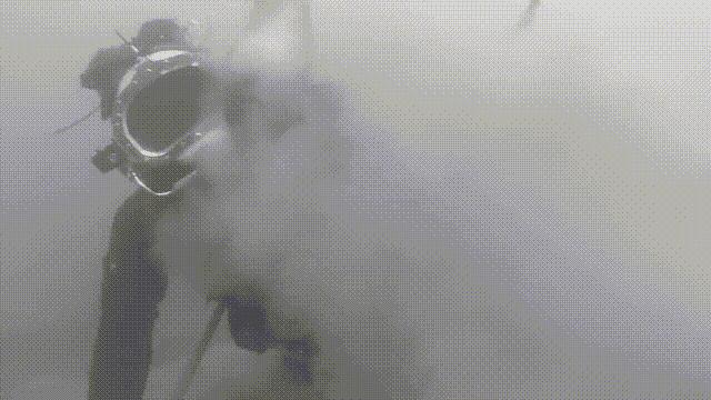 泥蚶和花甲蛤蜊有什么区别,贝螺蚌蛤蚬等怎么区分