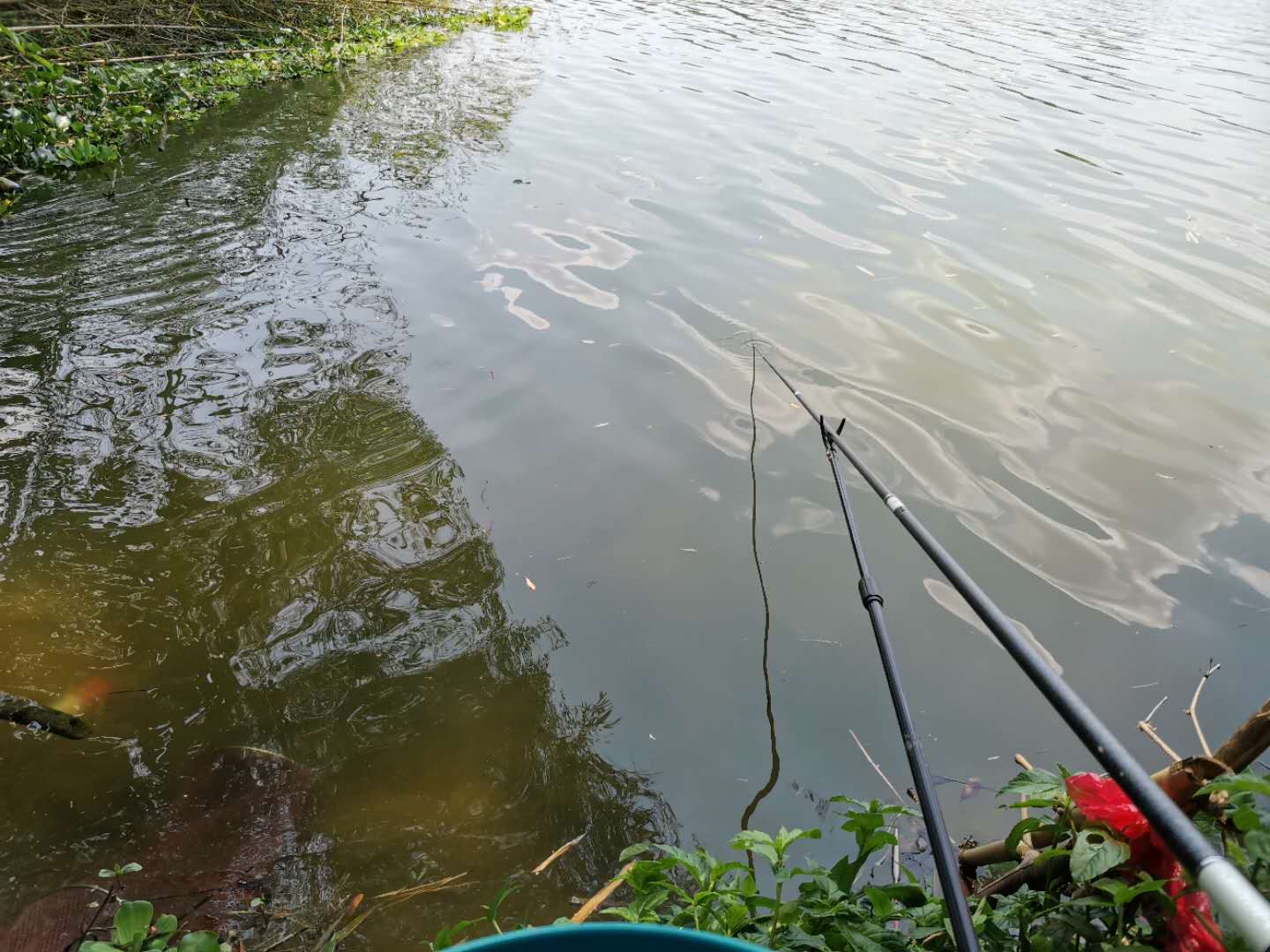 野钓走水用什么办法解决,野钓走水应对最好的办法