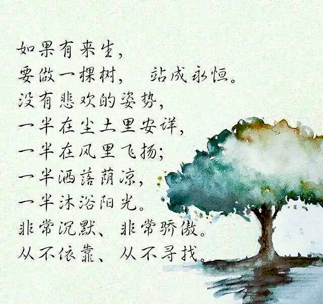 阿波罗与月桂树的故事,月桂树阿波罗结局