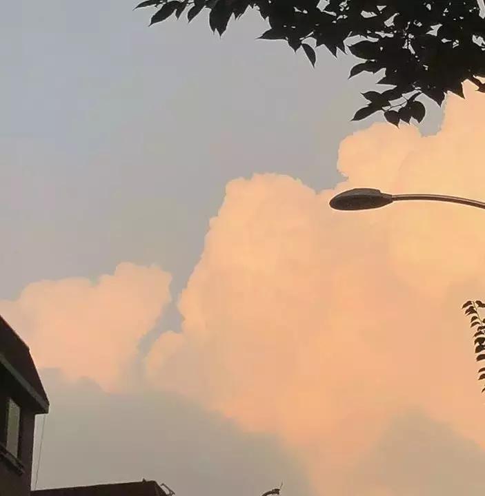 29岁女孩独居图片,29岁独居女孩的视频