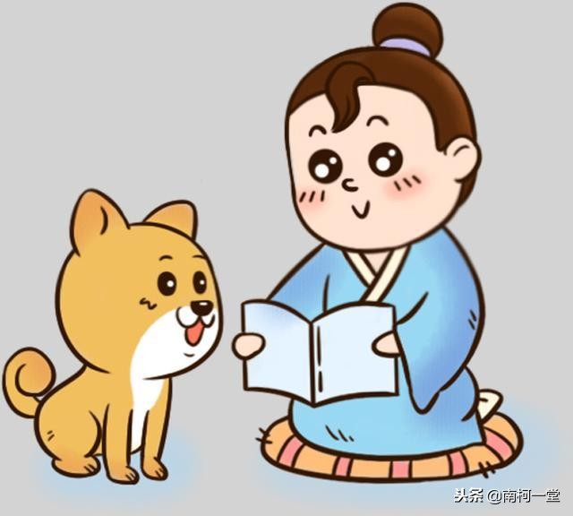 小学数学公式大全数的整除,小学数学除法知识点全总结