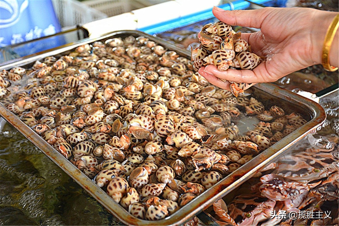 2019三亚海鲜广场,三亚火车头万人海鲜广场海鲜种类