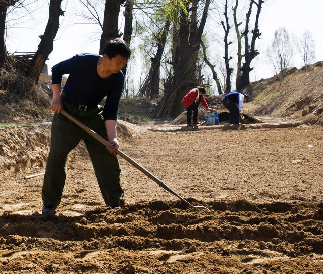 父亲节快到了又想起了我的爸爸,父亲节让我想起了自己的爸爸