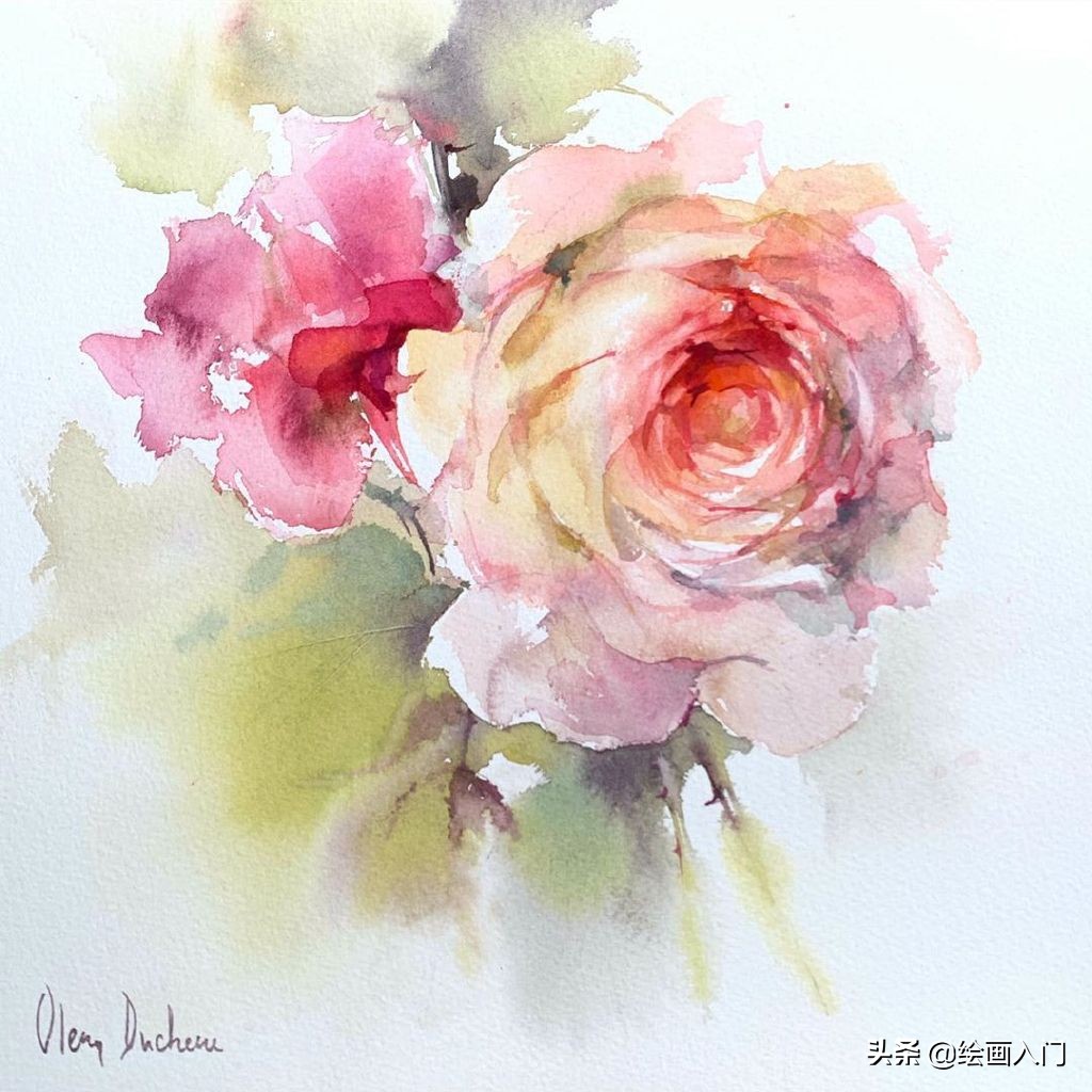 唯美写意水彩花卉,各种水彩花卉的表现技法学习吧