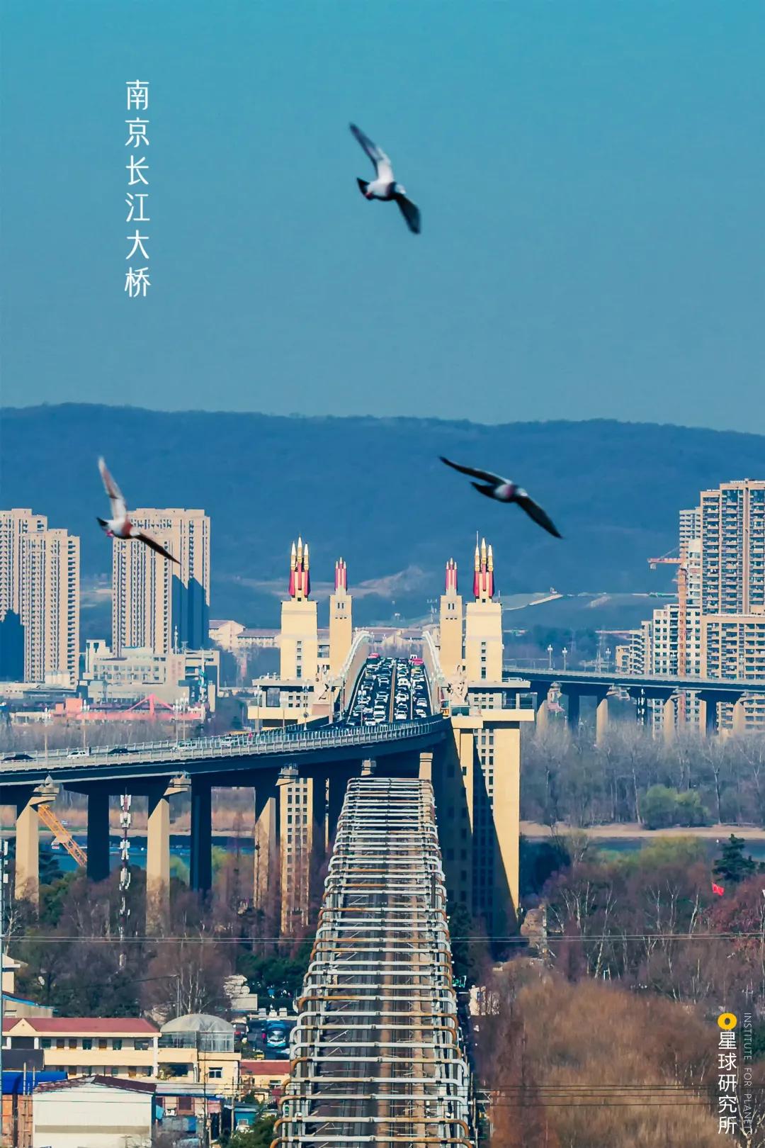 南京为什么叫金陵,我是南京