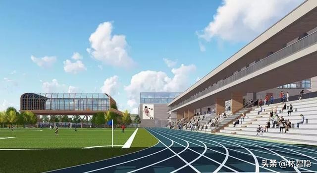 上海浦东新区一流一类小学排名,上海教育新趋势