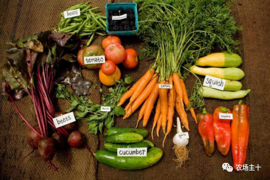 危机四伏！那个最早进场年入3000万的有机农场到底怎么了