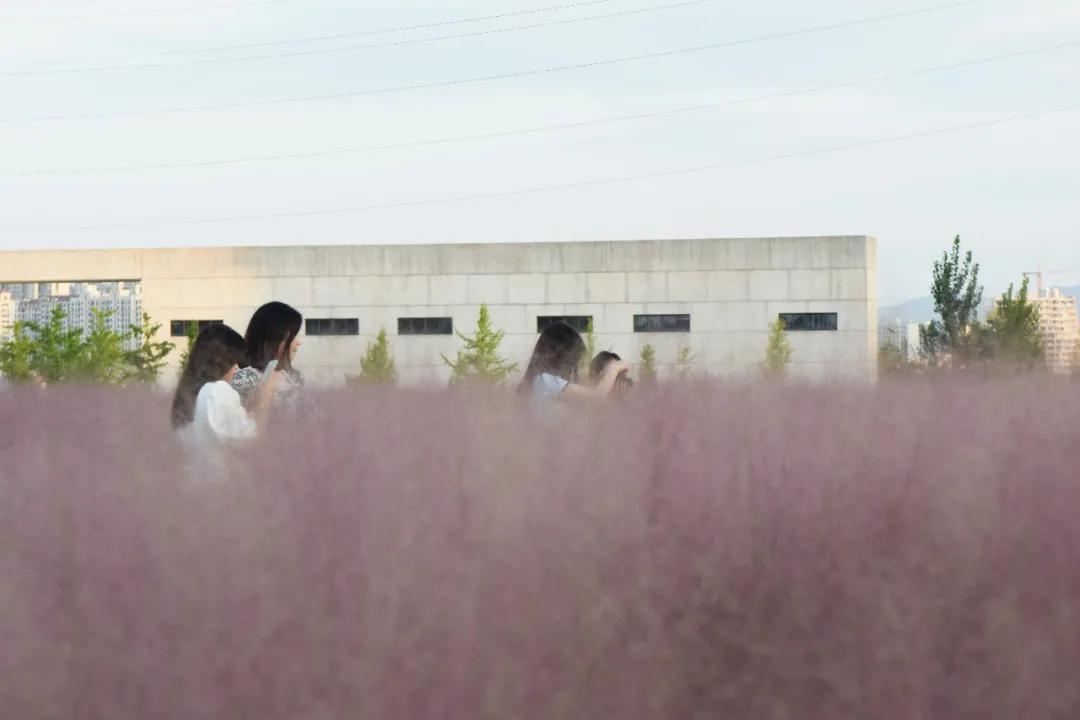 金的功用,金的功能主治