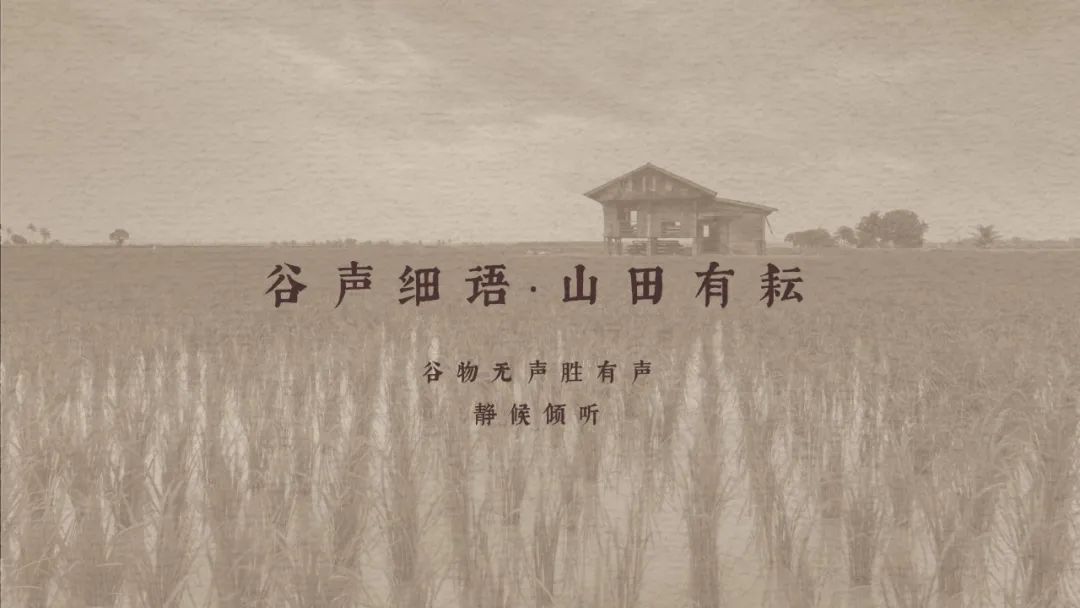 区域性特产品牌如何又“特”又“土”？