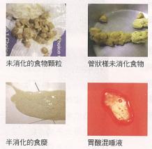 猫咪呕吐的原因及处理方法,猫咪呕吐不吃猫粮是什么原因