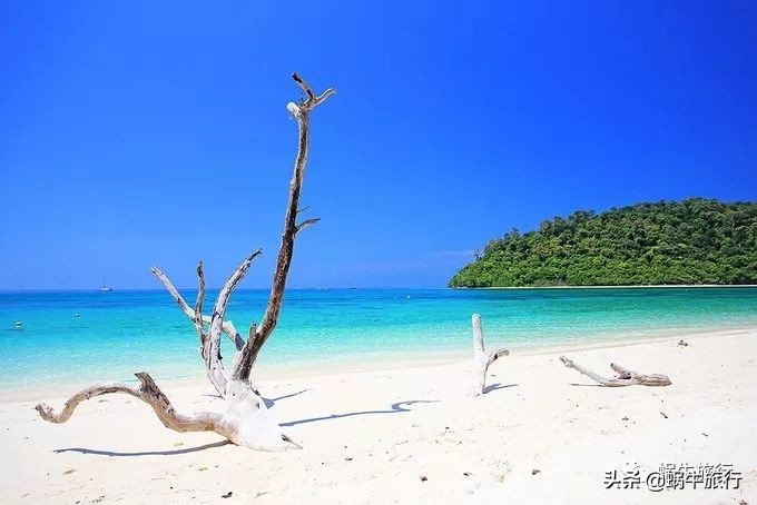 巨蜥像退休大爷休闲漫步；满海的活珊瑚、海葵…国家公园开岛啦