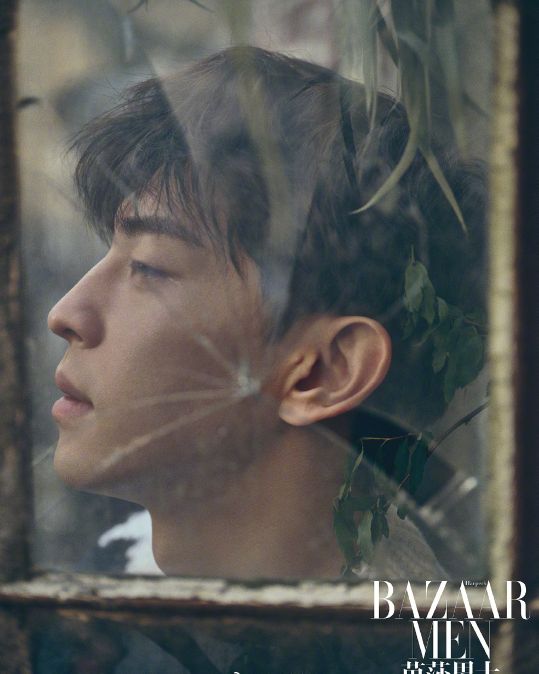 吴孟达刘德华吴京,吴孟达林依晨