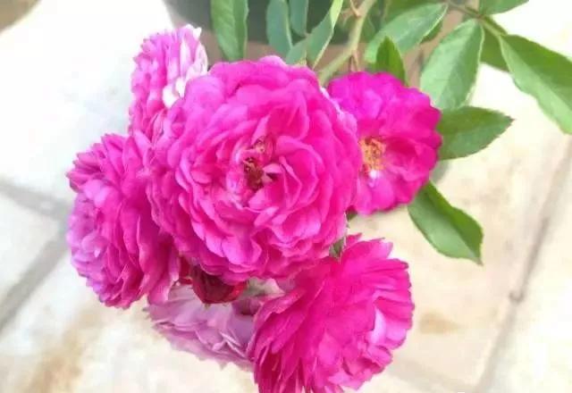 每天学习一点点女性小常识,每天学习一点点科普一下