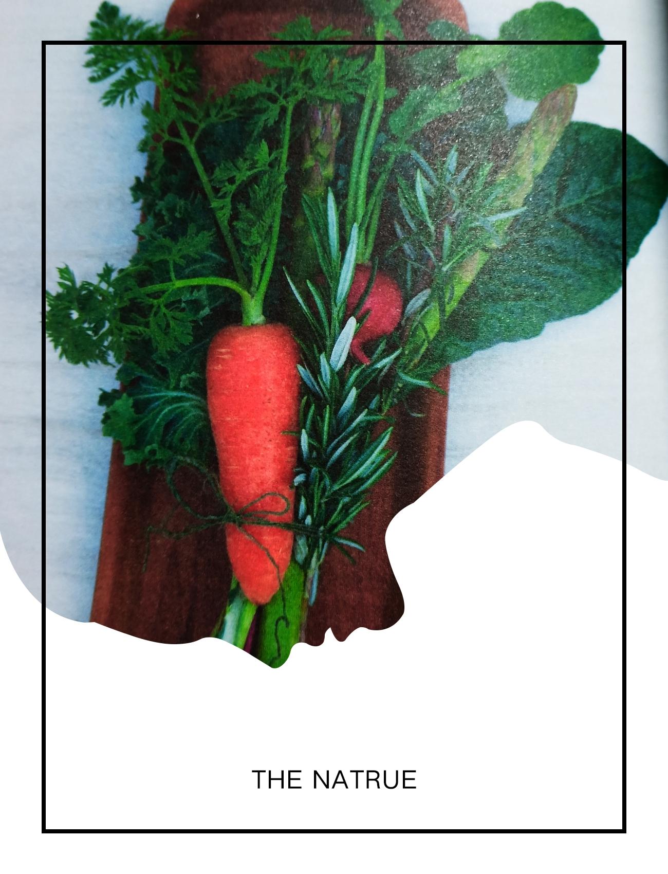 从地产销售到知名花艺师，是热爱，是坚持，也是花束的独特绽放