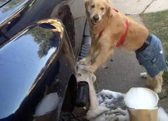 汽车后市场经销商现状,汽车后市场的朋友们