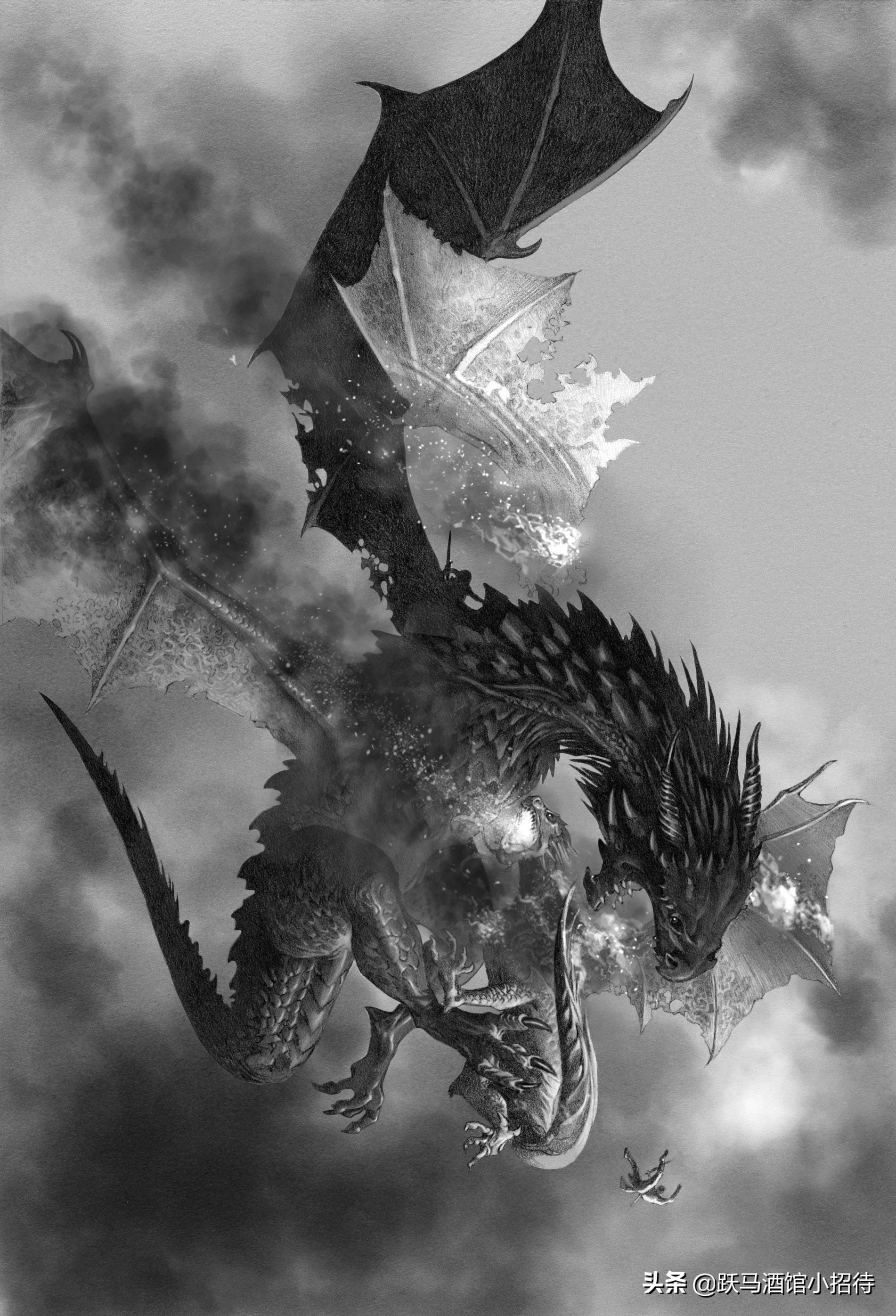 冰与火之歌坎尼会战,冰与火之歌各个家族的分布地