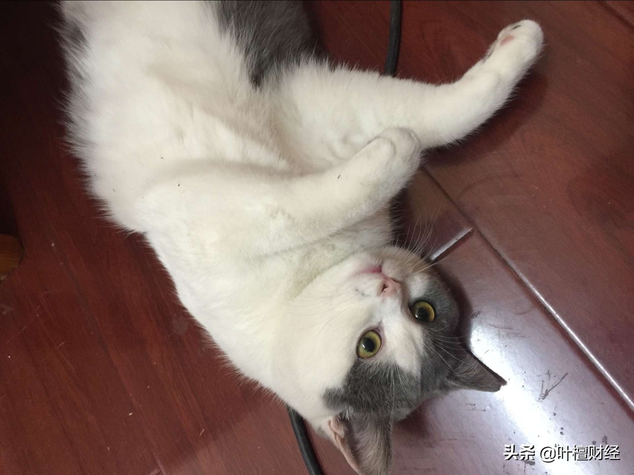 儿子为买房弑母骗保,男子为买房弑母骗保