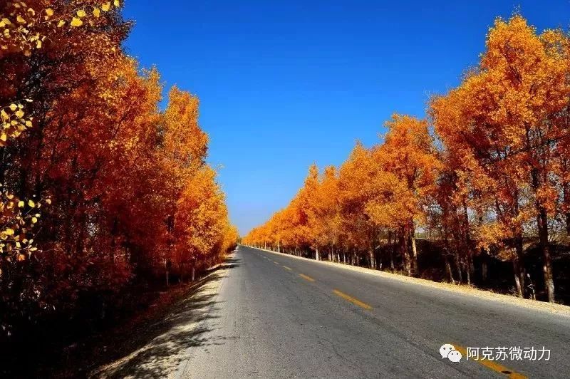 阿克苏在新疆的经济排名,阿克苏最强的县