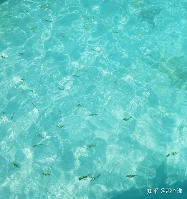 泰国和中国的关系,泰国是一个怎样的国家