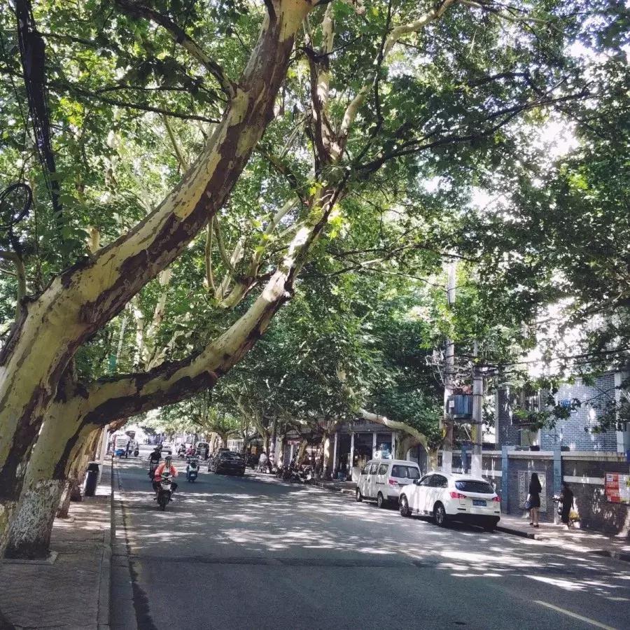 为什么南京都是六朝古都,南京一座去都不想去的城市