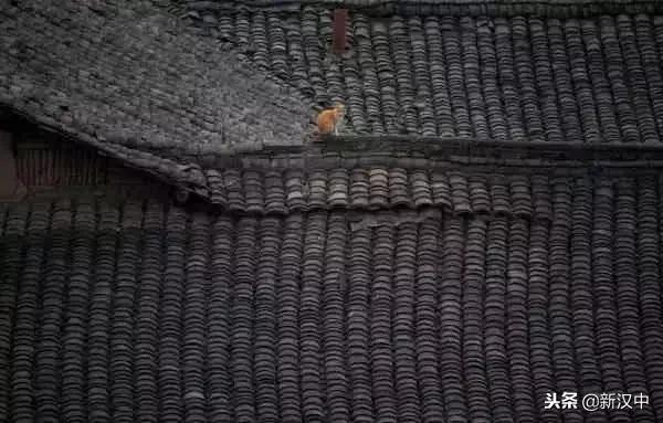 汉中有哪些古镇老街,汉中旅游老街