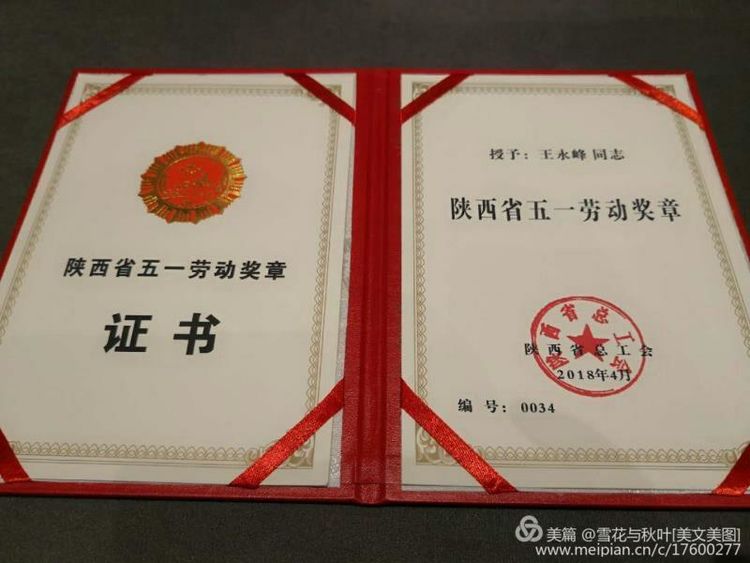 魅力人生光辉岁月,魅力人生绽放美丽